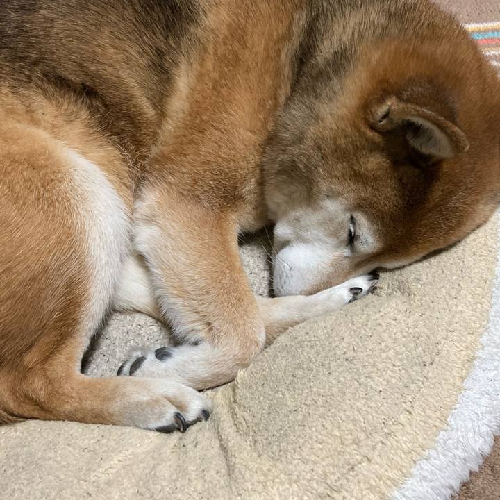 8df56996 0c19 4bc6 a5ce c47c22e5b84e 1740397242242