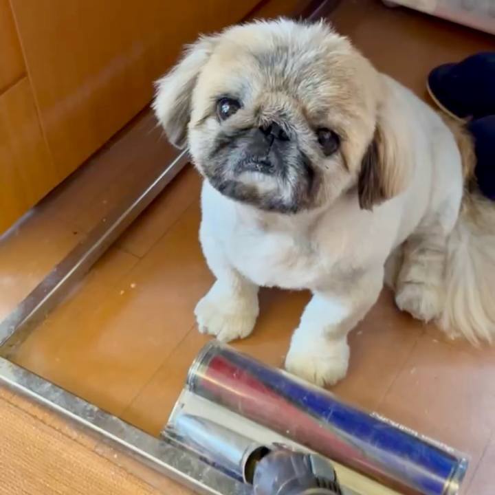 8df589c5 6c5e 4084 8520 0359c28aef1a 1743904912900