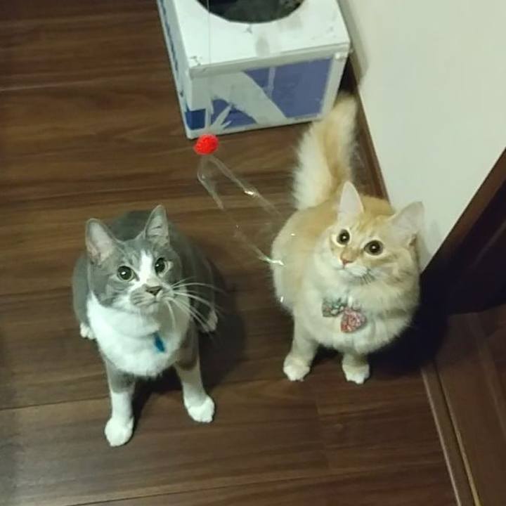 8df5f511 bd77 435e 9059 829b3d404fb4 1638361941461