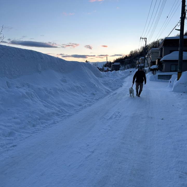 8df61944 3fa4 4331 99ae 8e4e989579af 1707273969430