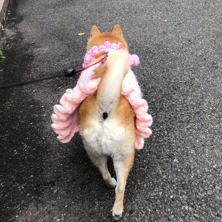 8df641ef e492 4e2e 8488 0bf8b4503e14 1608459741328