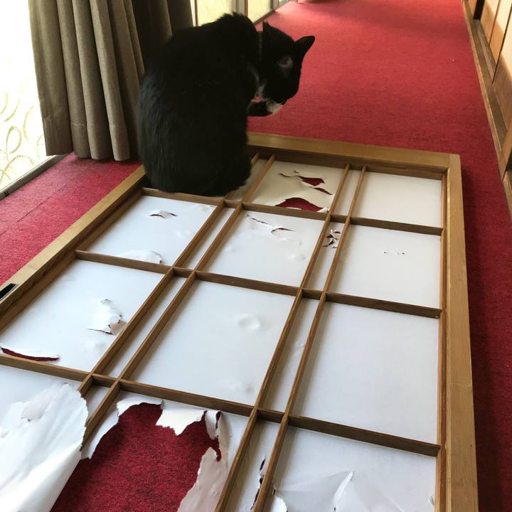 8df65ee7 6291 4e15 b381 233199fd9a93 1509118107840