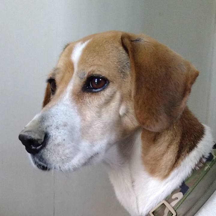 8df68272 3f4a 4cf5 b96e aff9684fa323 1673017883078