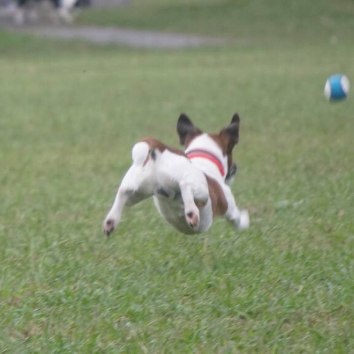 8df6a7ce 0854 4000 9411 179a5fdf3520 1571611300350