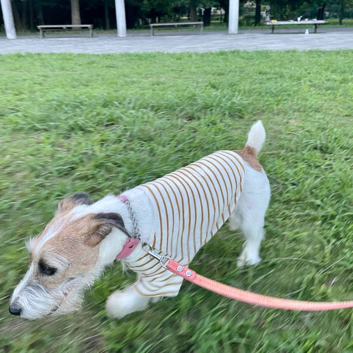 8df6a94a 61bb 4a90 9e74 3822eb7c0d72 1629372972218