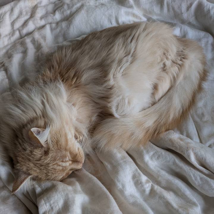 8df6b0ed db7a 472a 96d3 ec0e57063d88 1745464711633