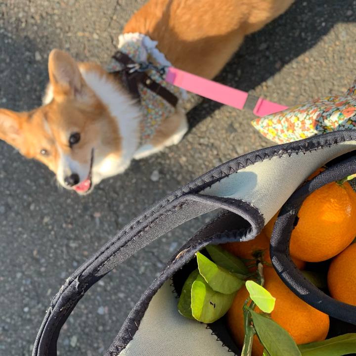 8df6bf8f ef03 4281 b24b c2ac9f310921 1670820064715