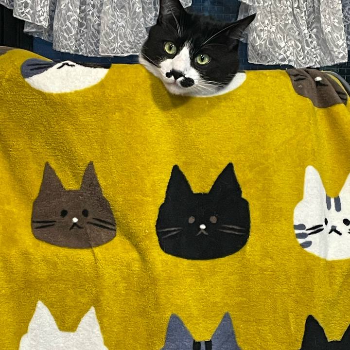 8df6d06a f8f1 4b4f bf3c 293014546856 1650321913028