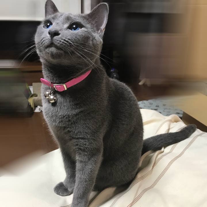 8df6eb23 9561 4ec2 a176 6a892d71b36f 1534423043997