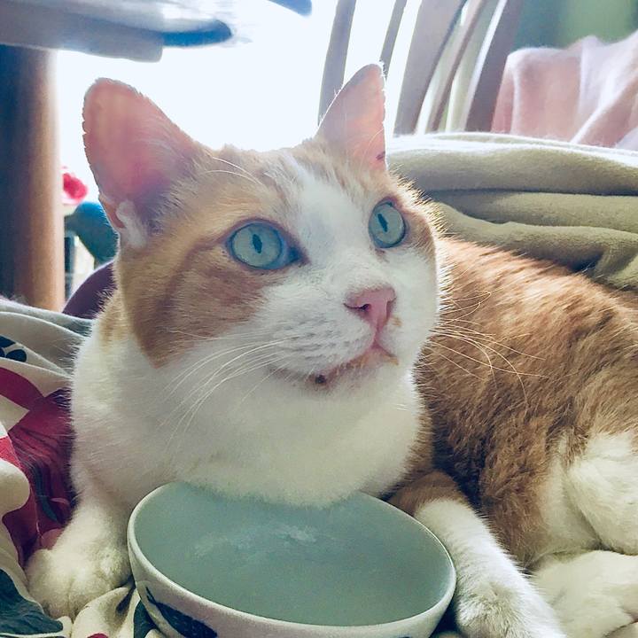 8df72c82 7e1a 4a18 9510 80953a21562e 1583913842209