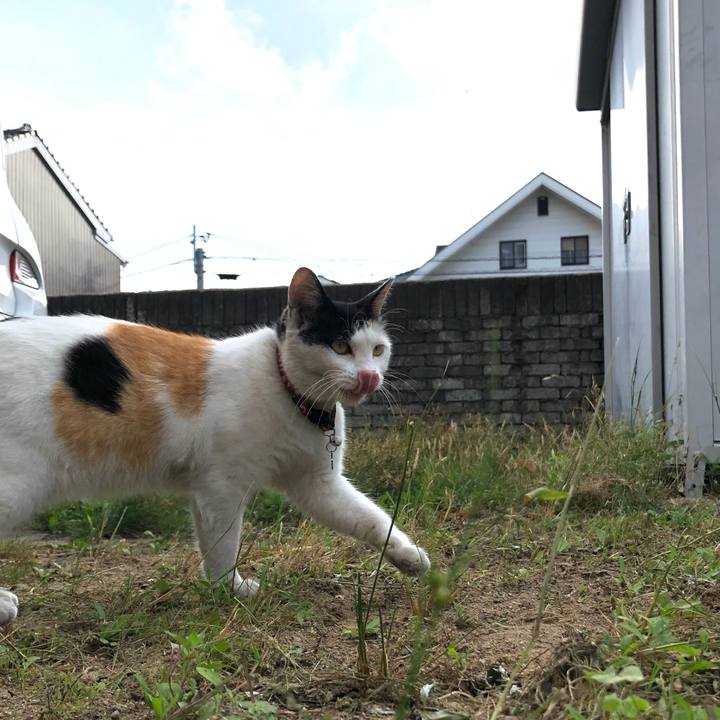 8df72e12 8431 4d5e aa29 36573e0fd156 1625091522149