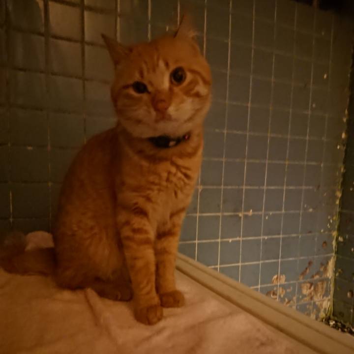 8df73443 3831 4bd5 84d4 2899abd5aaf5 1650978017073