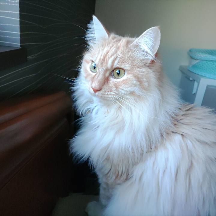 8df734ca 13aa 4d5b b7cb 3560c0d4b610 1711059796638