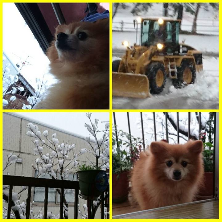 8df76e0e 597f 4648 b76f 3dfe2b4b42bd 1512512376469