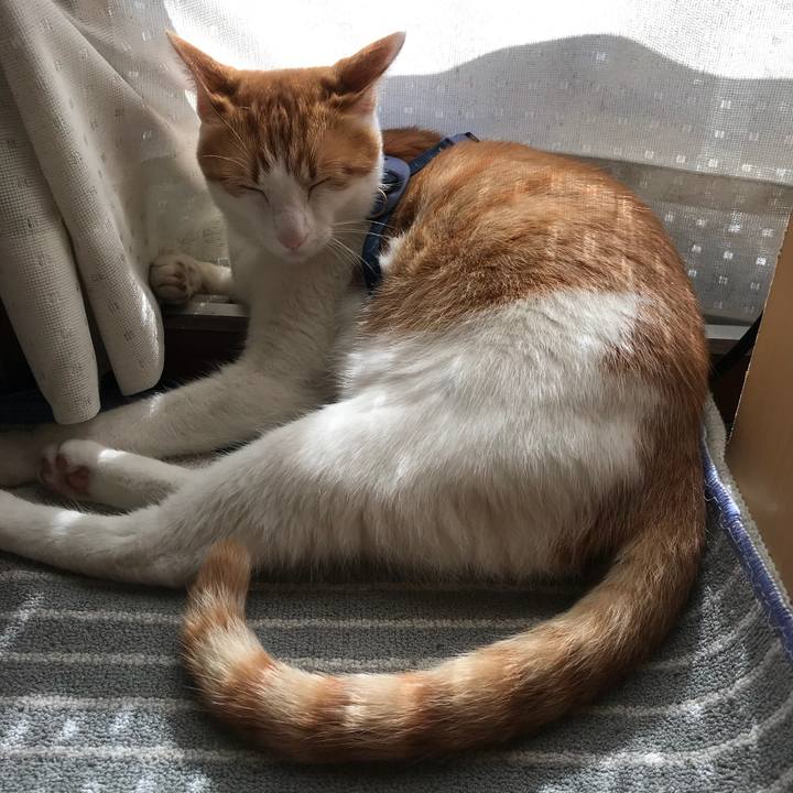 8df7a365 44d5 4a38 989d daad6c131cd7 1509680147993