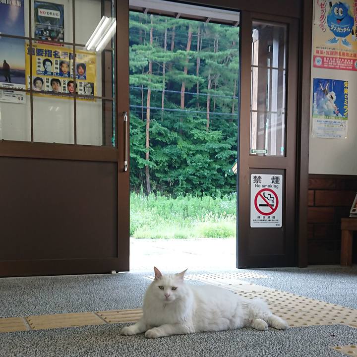 8df7bf65 674a 4e7b 8d74 19351c3e0839 1531866438050