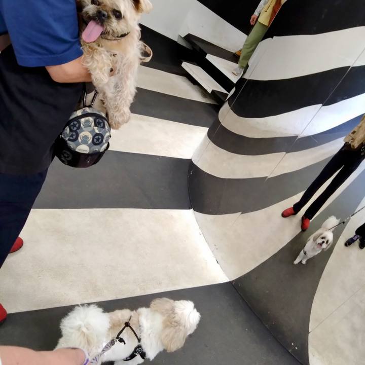 8df7c2f2 e7ed 4a09 ae6e cede893db240 1727665367321