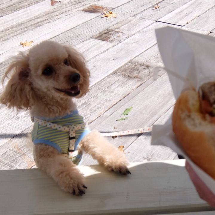 8df7d9c0 17f3 4ca0 b85b 571ffb7f7a42 1541323258922