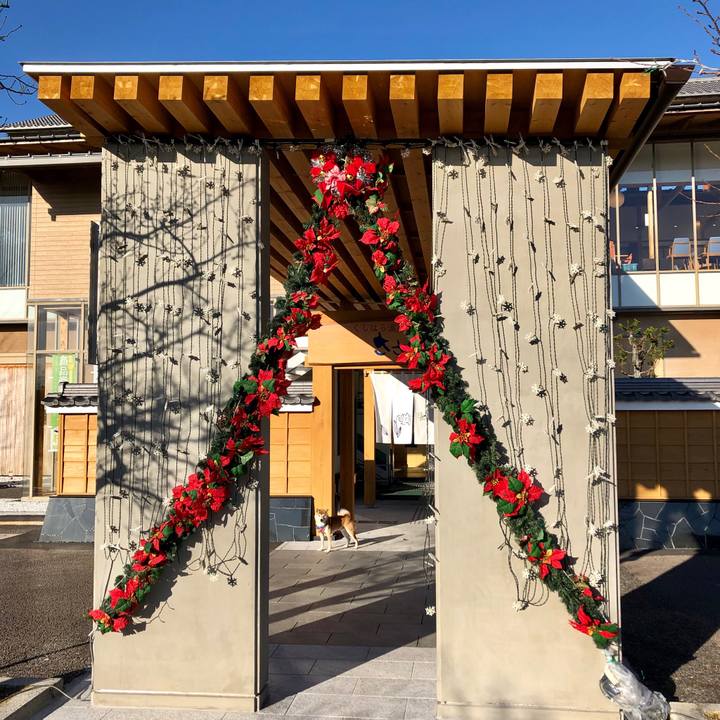 8df820bb d1be 4394 9f33 55b15d84cf40 1544864104591