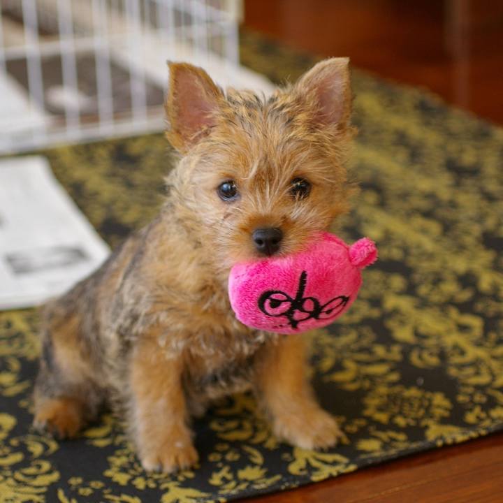 8df85403 6d42 4599 8fb5 d43d6eb76a12 1657508001755