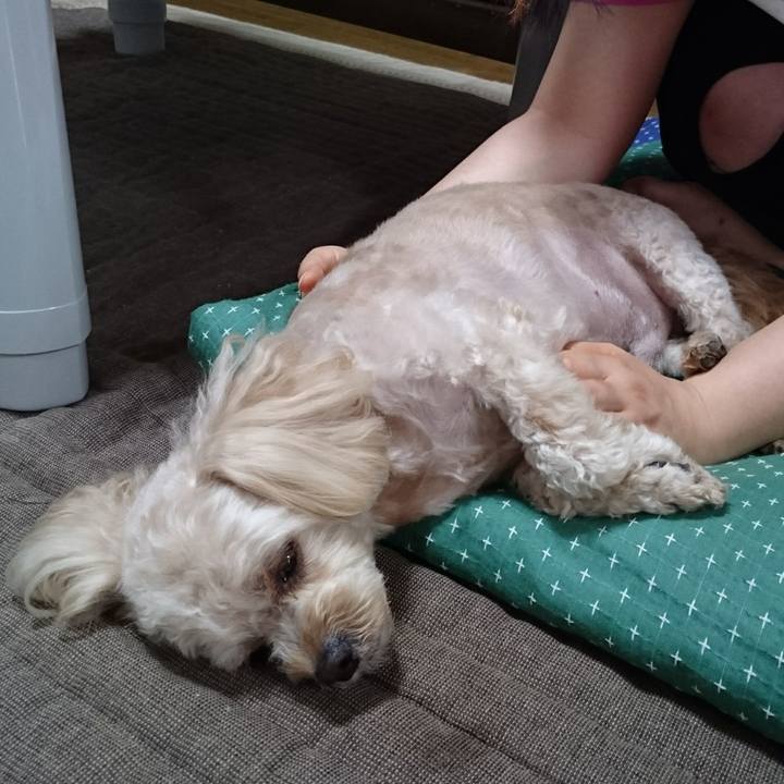 8df857b3 19dc 41a5 88f7 b27b487558eb 1533695149704