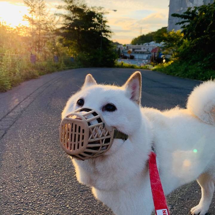 8df94b27 3dbc 487f 900f 4369e2c8f813 1599513119929