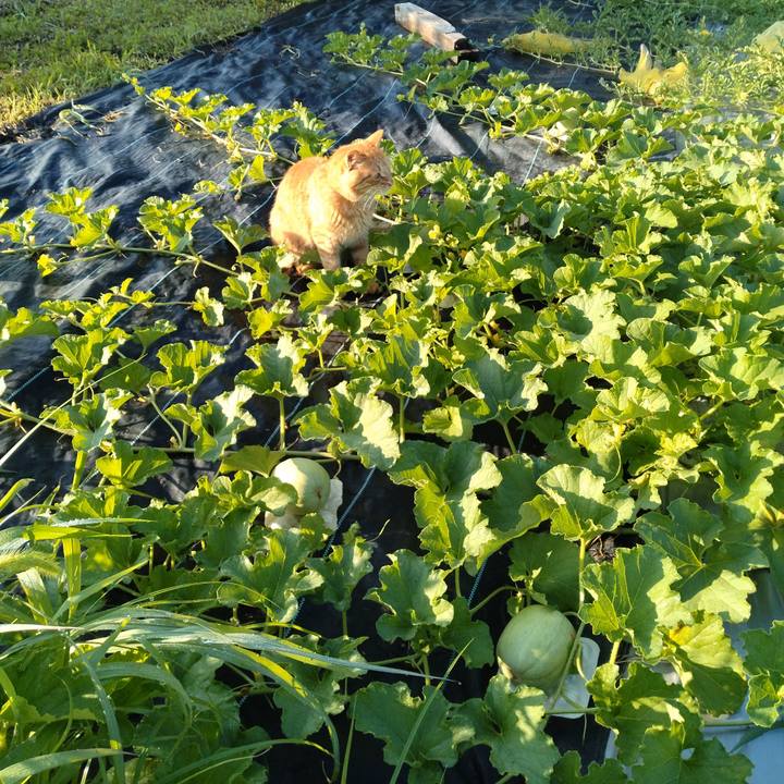 8df9562a 248b 4227 b4bb 6e25cd27e9af 1689978927936