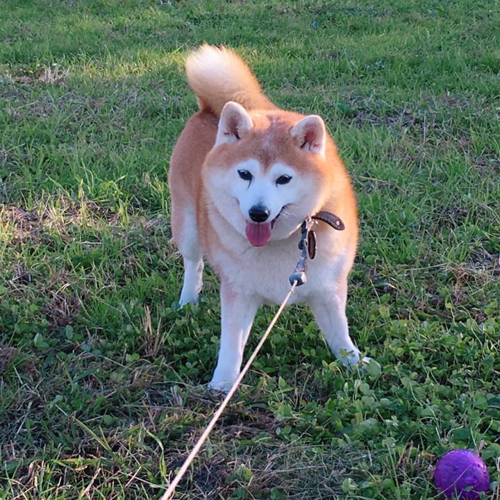 8df9841e 49d3 4388 811f 33ac91d58b8b 1590880820249