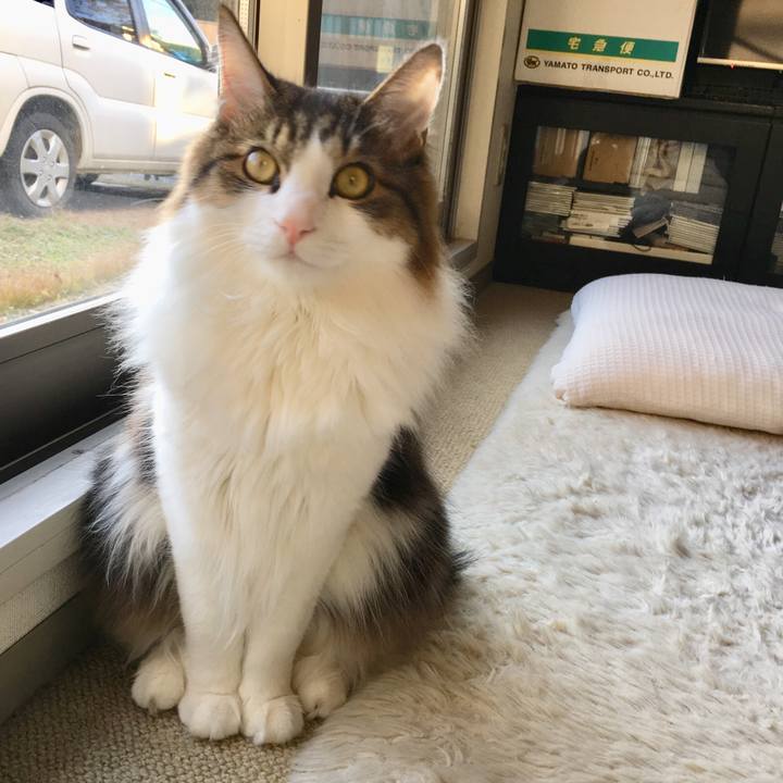 8df986dc 87de 4926 9b1a 2a98b3c3a575 1513211798392