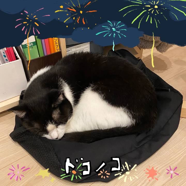 8df99b93 a549 4339 adbf df5c3ccd1cf4 1723379694944