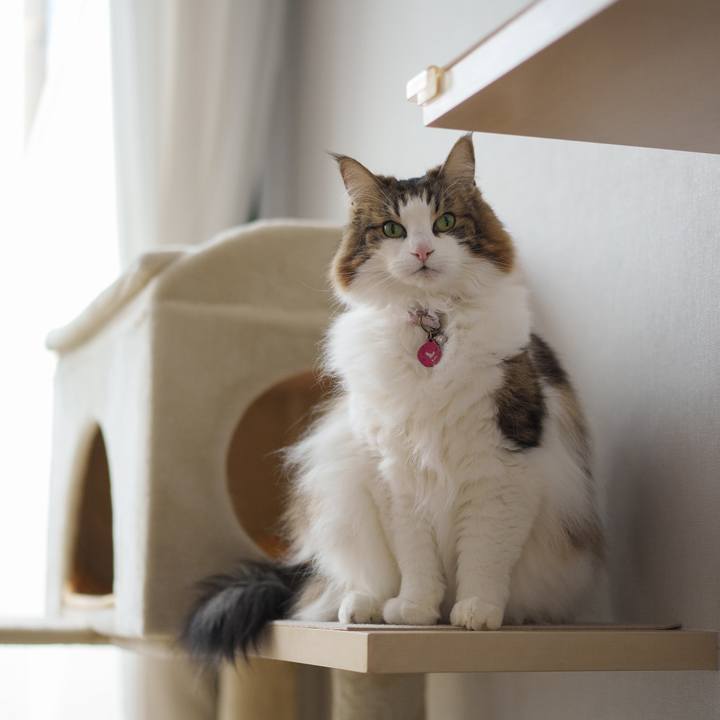 8df9af55 e8f5 4eab b48e 5ae86701916c 1709359508394