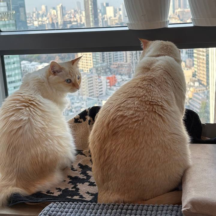 8df9baf3 88b8 4563 b702 39bbbf131f86 1766813352783