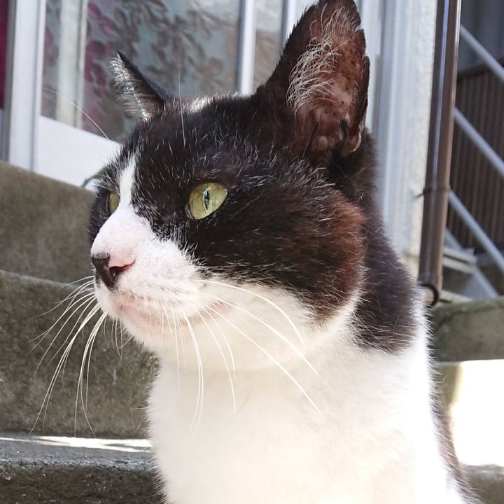 8df9e9ea 9a83 4496 a13f 7b2db496e528 1691458306332