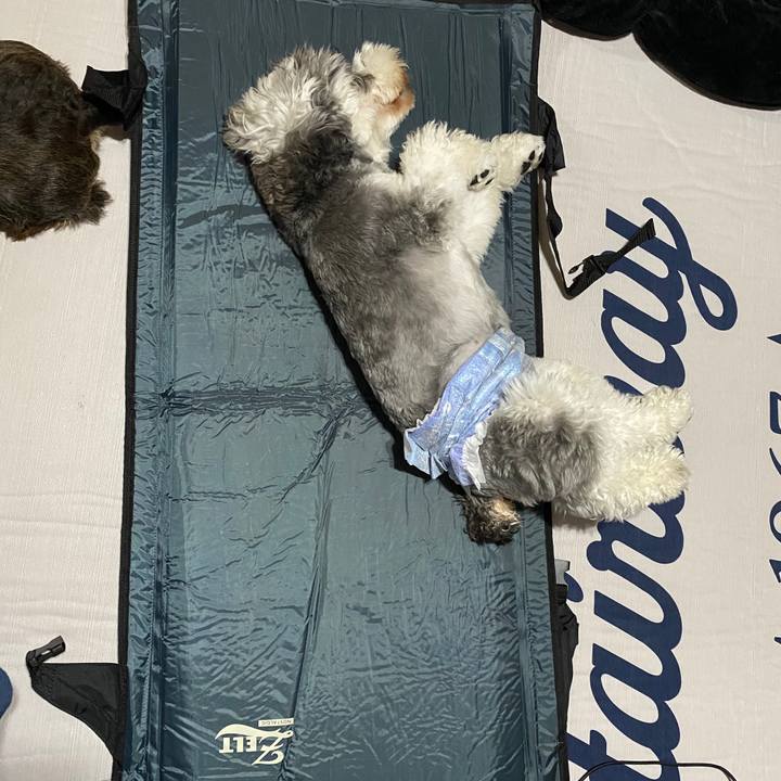 8dfa546d 4279 4edd a5af d7410019d82e 1595675800056