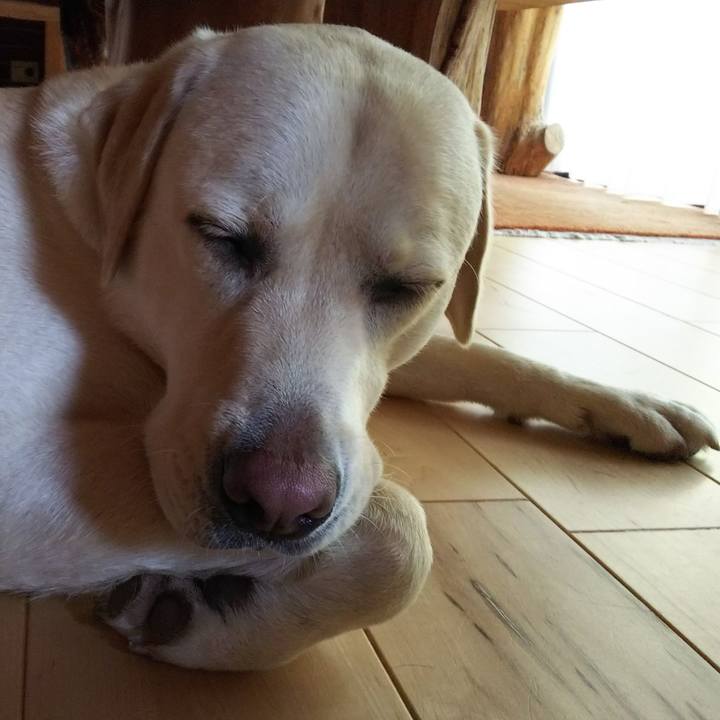 8dfa7261 bdeb 4e48 ba28 141dd0b3417f 1531984277880