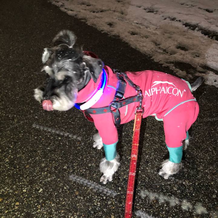 8dfabf65 a6c7 4ff9 b93d b390837e5217 1671790070044