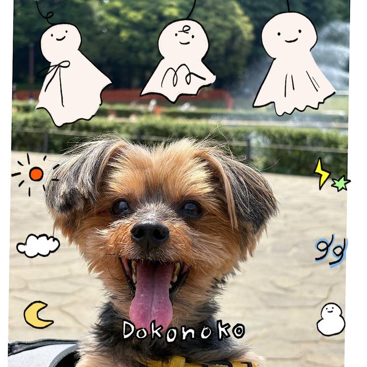 8dfac7fb 1914 4e86 bc38 b32c542819a9 1749093106764