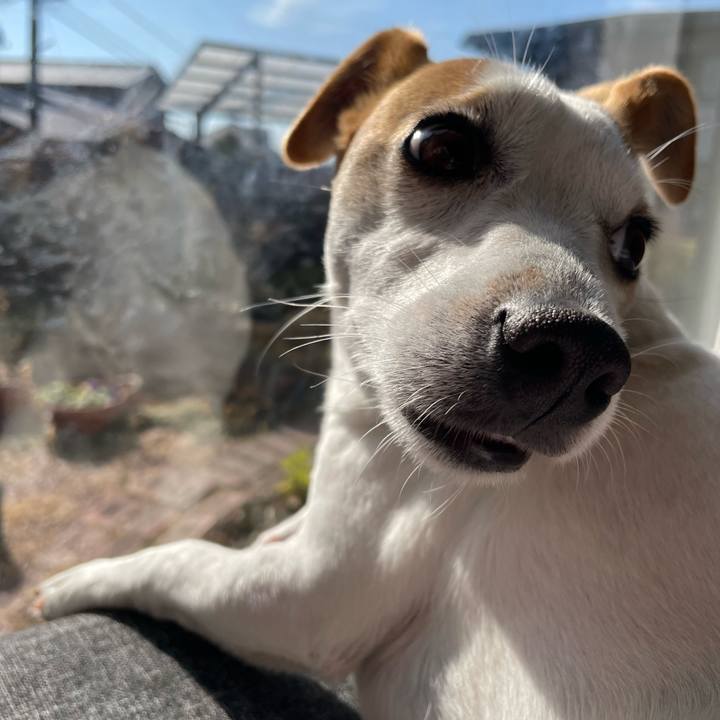 8dfb0fb7 9f41 4e22 b427 e64687a71f9d 1643186470925