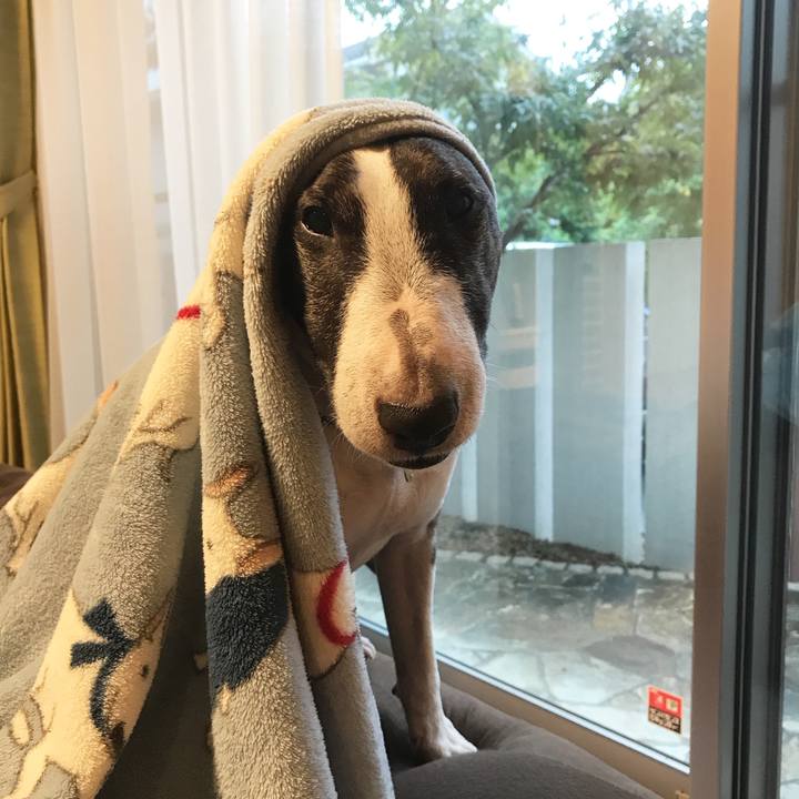 8dfb2bd9 afd9 45c9 bd7c 78a98cf5d729 1508917588076