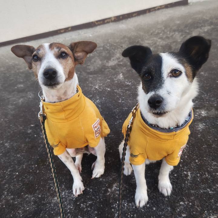 8dfb3579 05b7 4c98 a84a e29b2148d188 1763938449011