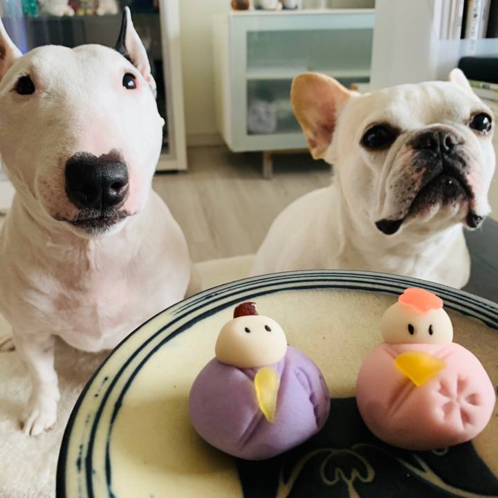 8dfb749a 02e6 432f b39c e24e2d2302b9 1551594662041