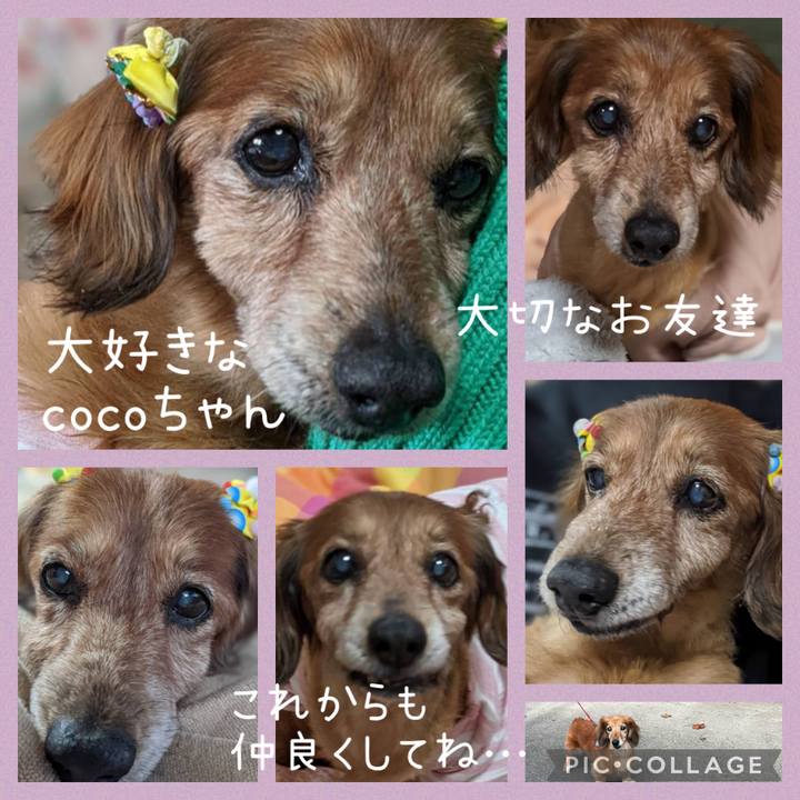 8dfb924d e2c7 44cd b0fd 7c299953193e 1665310352288