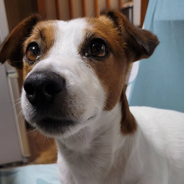 8dfba22e f83b 4bbd 9a7d 464436680067 1694221452345