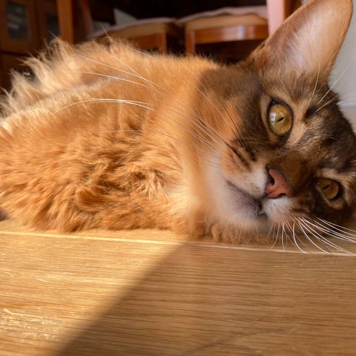 8dfc0260 567e 4ef8 aa3d b77250383bcb 1613534234713