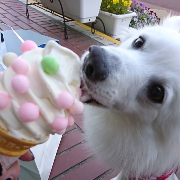 8dfc3bb5 e1fb 4a9e b02a 99b0264950d6 1524898133349