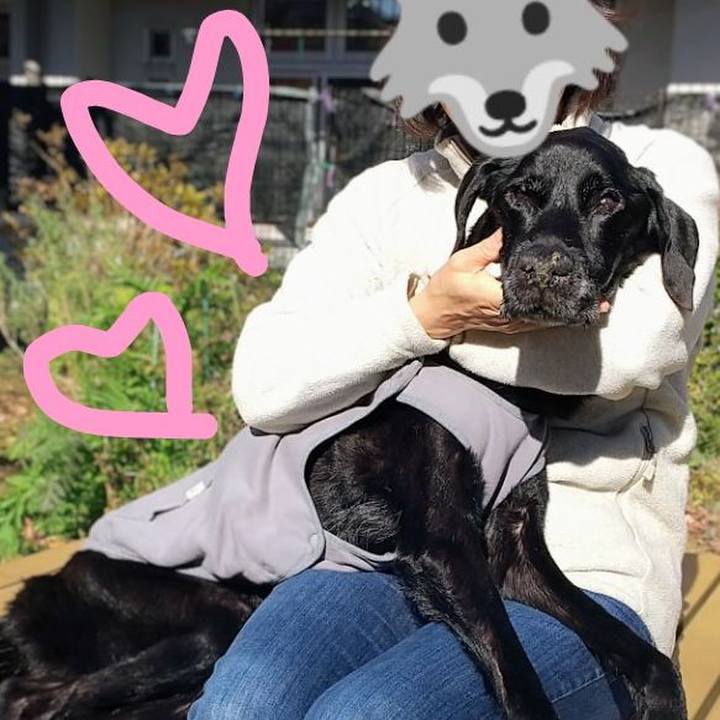 8dfc70a5 0718 4d50 a79c ae7d55c42b4e 1735284599050