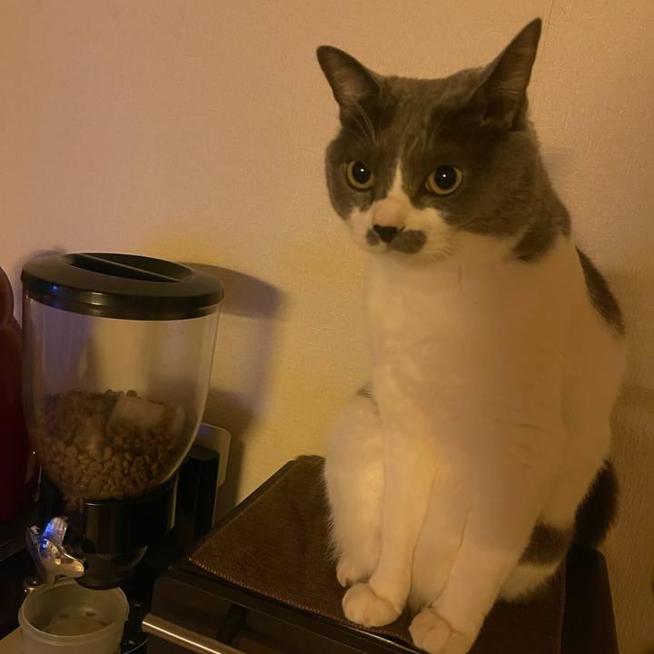 8dfca2c9 c1cf 41c5 9f0e 471f7b6a517e 1736459674103