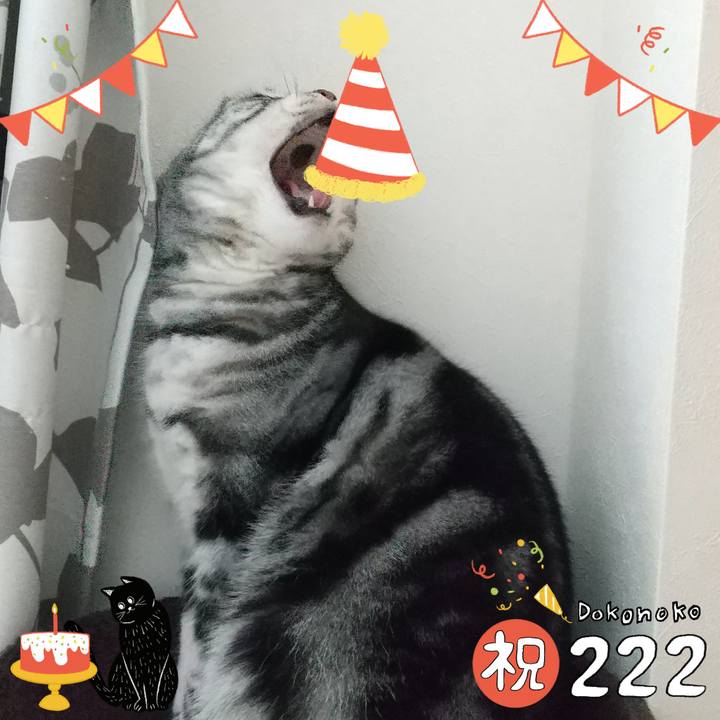 8dfcb699 72fa 4e29 80b1 59c6a0d52139 1645529250052