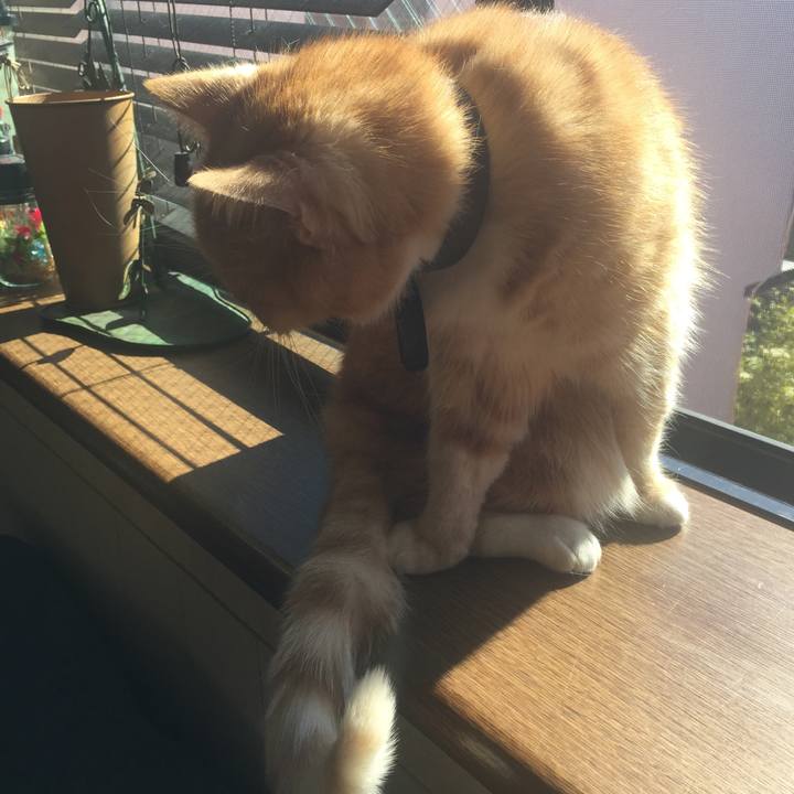 8dfce0ed 2645 41ba b49a 923444acc14e 1548124397486