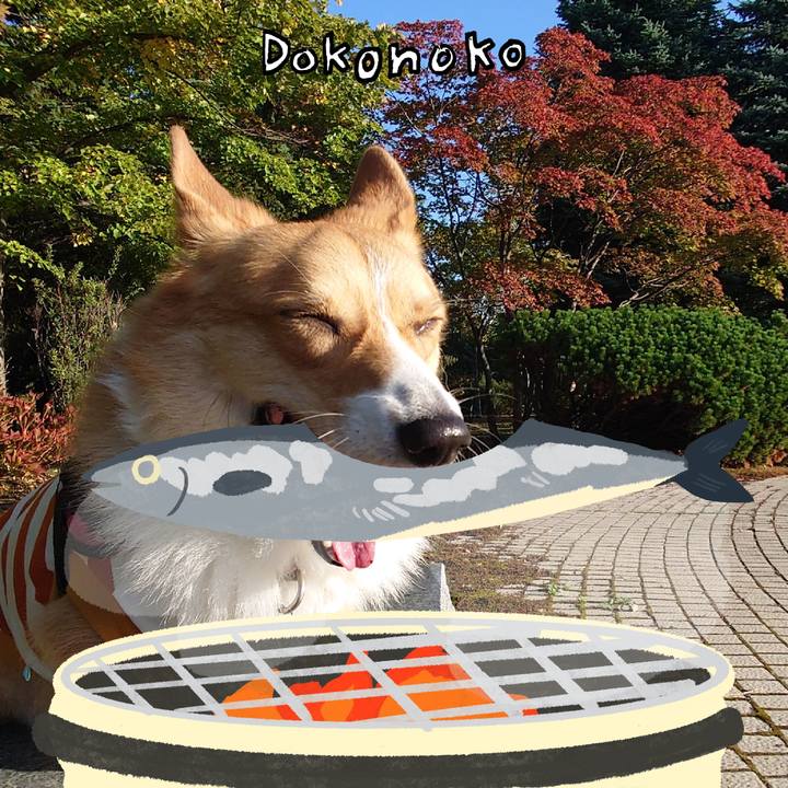 8dfcfddb 372a 4dbc b2fd d543e41a7d02 1761137649813